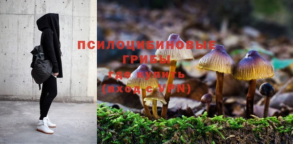 трава Абдулино
