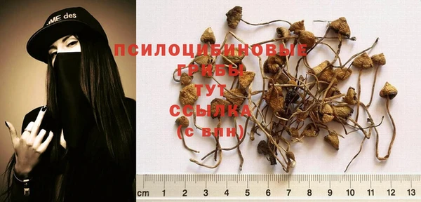не бодяженный Абаза
