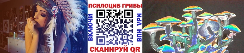 купить наркотики цена  Дальнереченск  Псилоцибиновые грибы Cubensis 